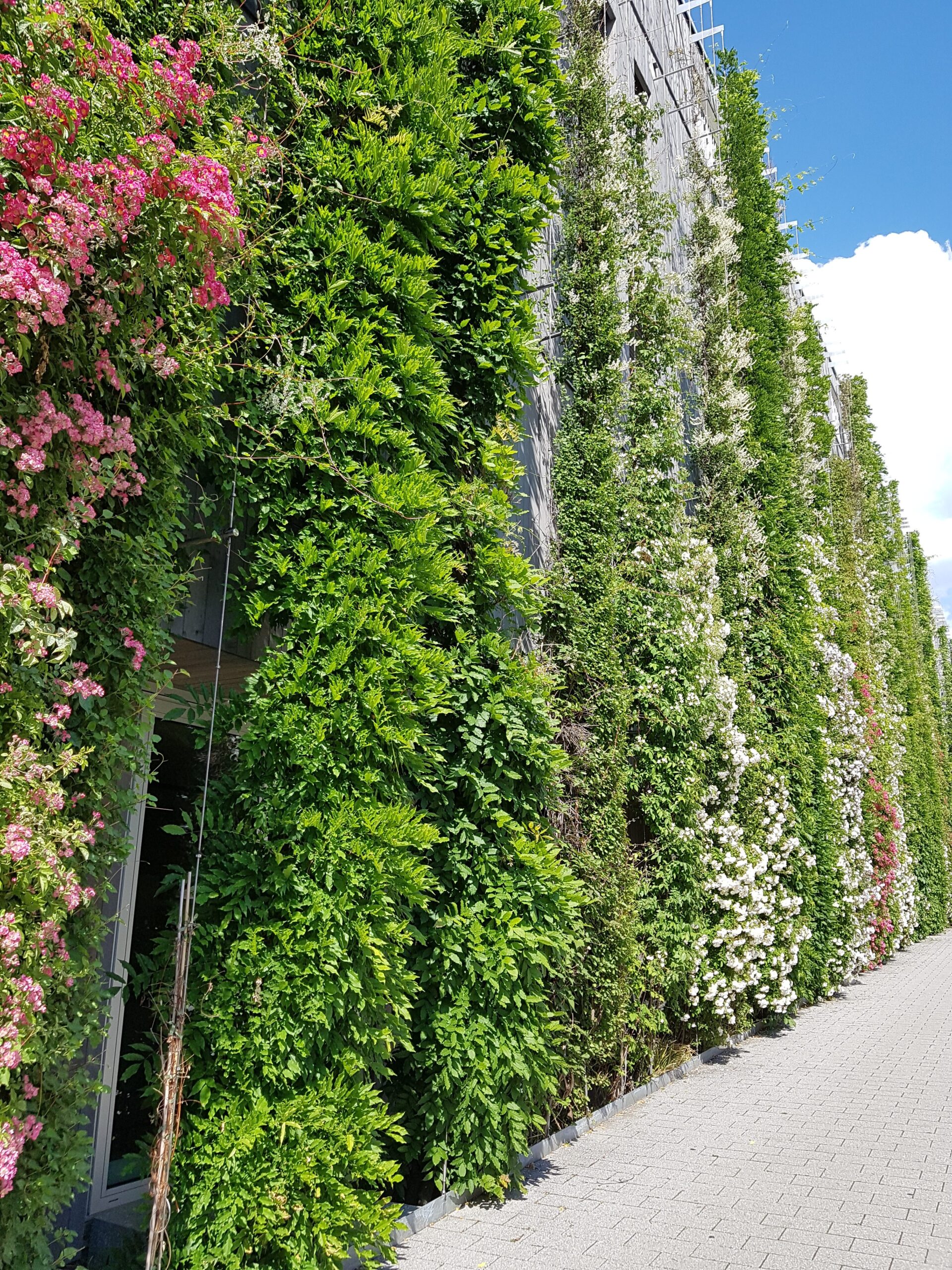 Vauban jardín vertical